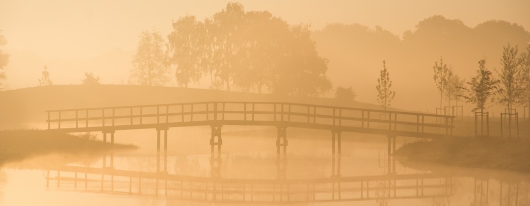 Enneagram, een snelle verbinding met jezelf